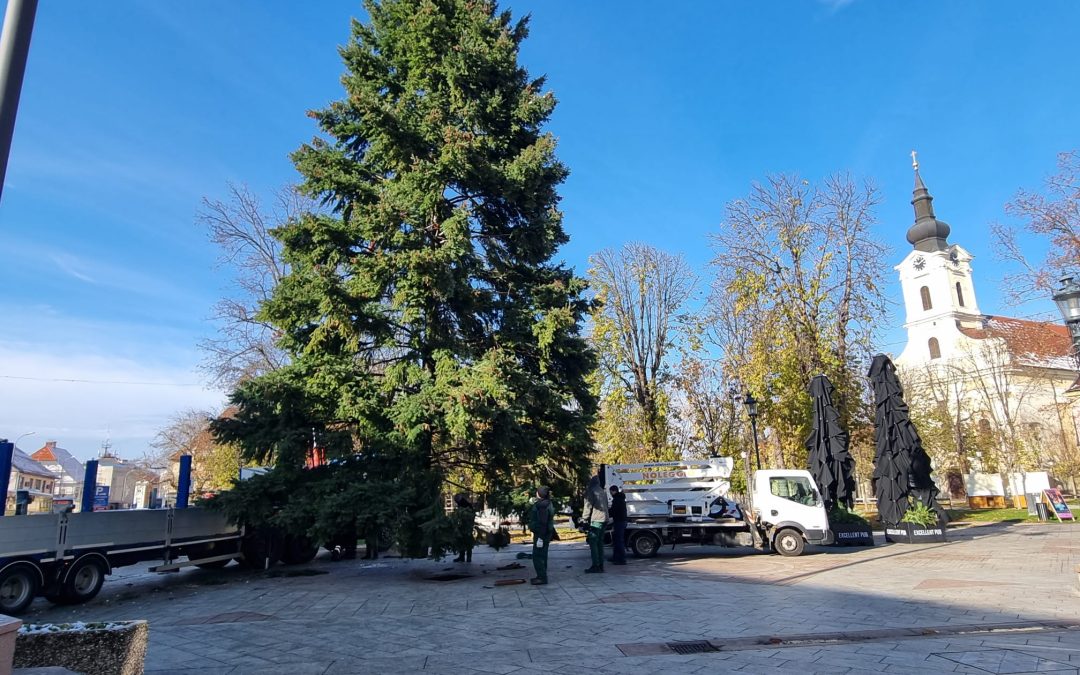 Božićno drvce visoko 15 metara od danas krasi središte Vinkovaca